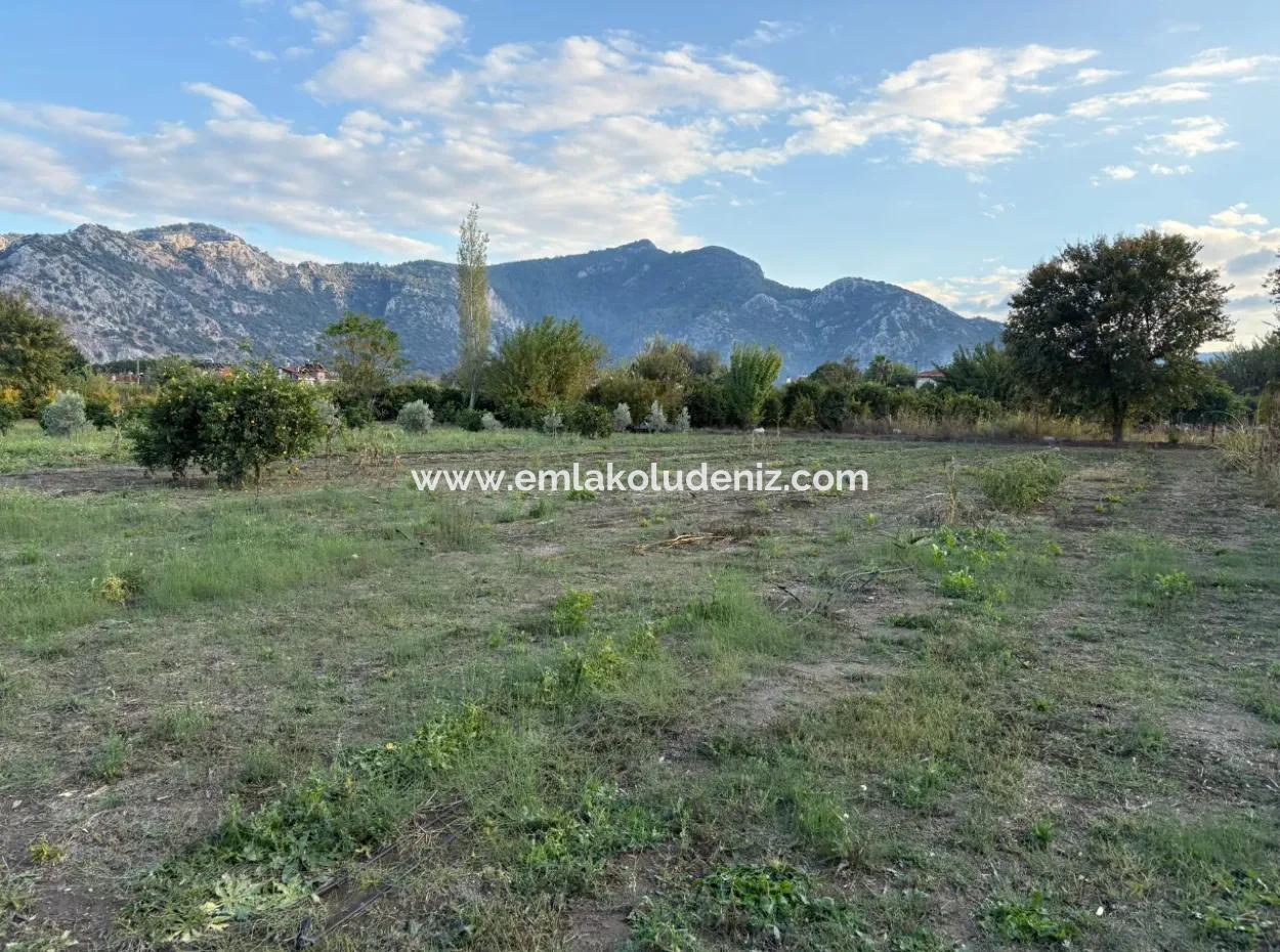 7.450M2 Land Zum Verkauf In Der Nähe Des Zentrums Von Dalyan