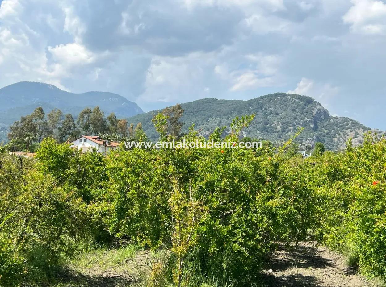 5.100 M2 Land Zum Verkauf In Der Gegend Von Dalyan Maraş Mit 5% Wohnzone