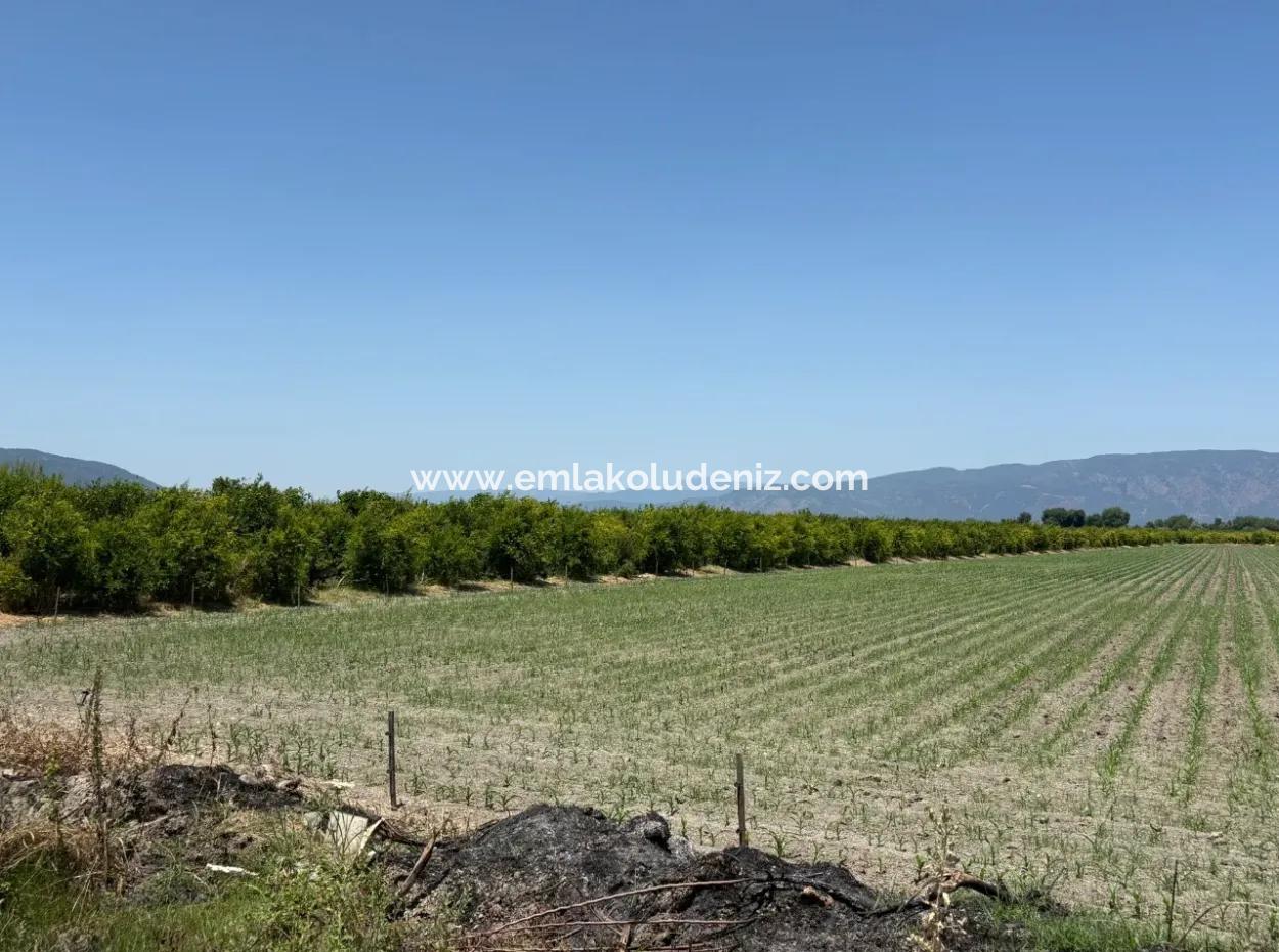 46.550M2 Grundstück Zum Verkauf In Tepearası