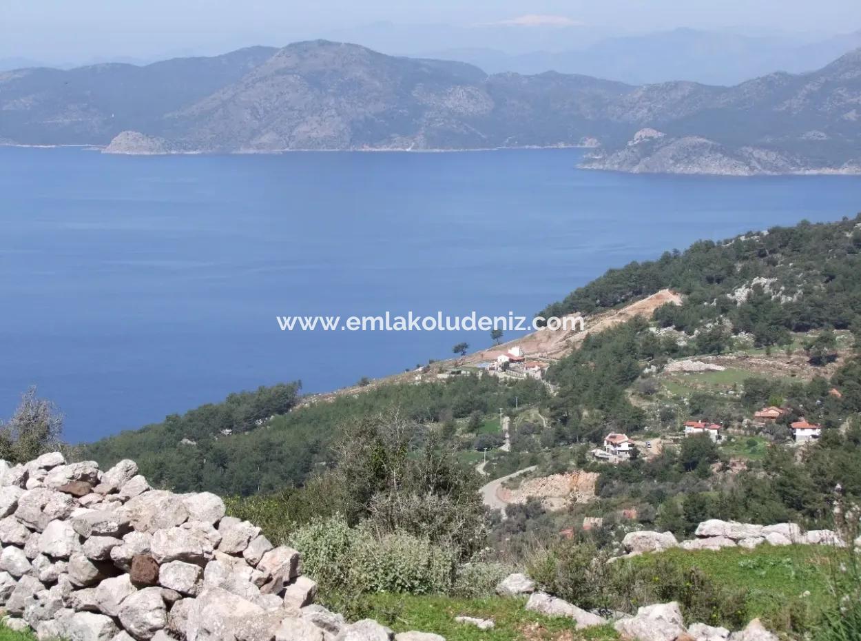 Für Den Verkauf In Faralya Faralya Mit Meerblick Und 11,286M2 Grundstück Zum Verkauf Tourismus