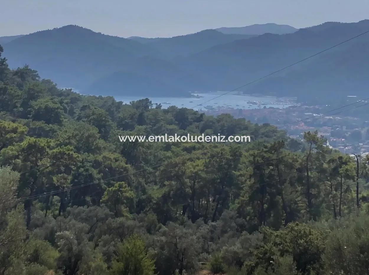 Tourismus-Zonen Grundstücke Zum Verkauf In Göcek Mit Meerblick Zum Verkauf In Gocek