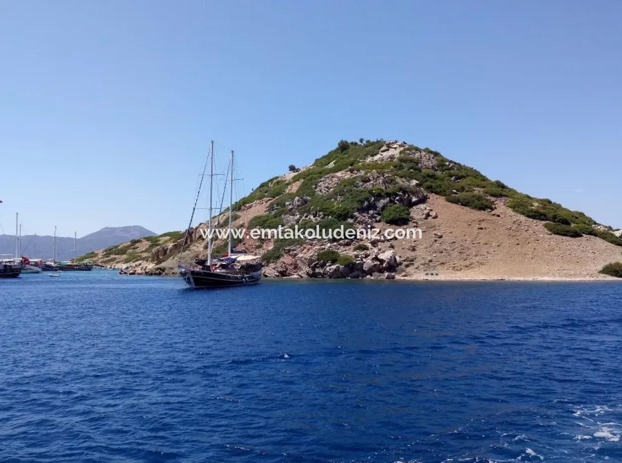 Benutzerdefinierte Dorf Am Meer Zu Verkaufen Villa Zum Verkauf In Osmanabad