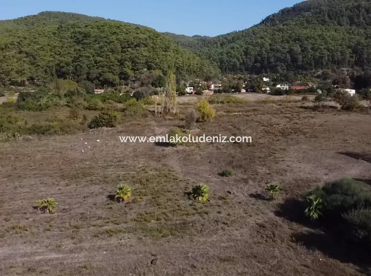 Land Zum Verkauf In 'Aml'da Marmaris 'Aml'da Meerblick 11720M2 Land Zu Verkaufen