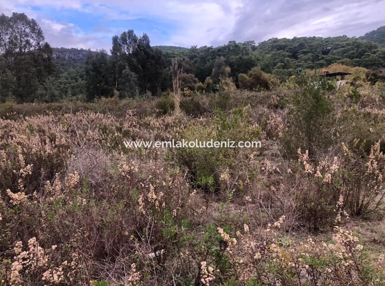 Land Zum Verkauf Null Zu 'Aml' Kanal 28768M2 Land Zum Verkauf Mit Meerblick In Camlida