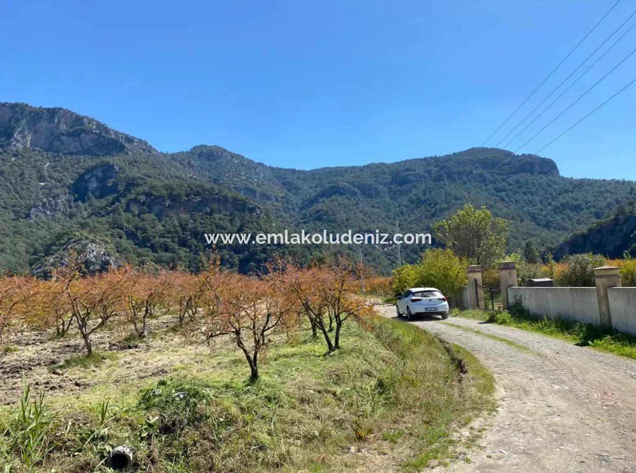9310M2 Grundstück Zu Verkaufen In Dalyan