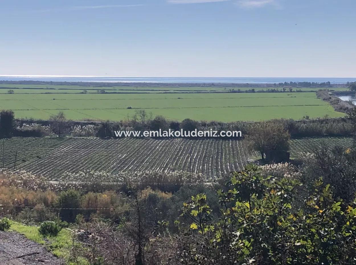 Grundstück Zum Verkauf Mit Meerblick Von Fevziye
