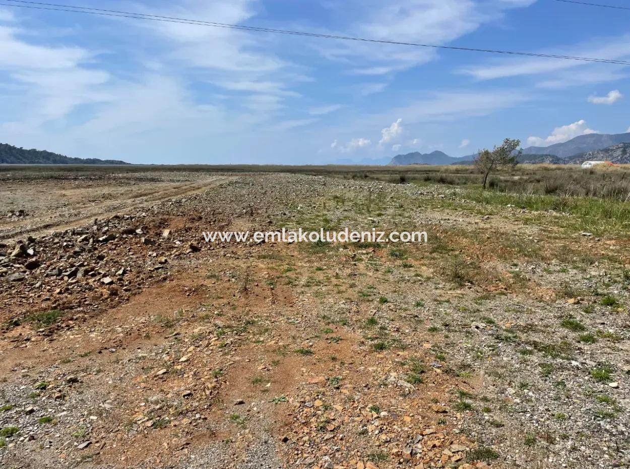 Dalyan Iztuzu Strand Straße Null 19.600M2 Feld Land Zum Verkauf