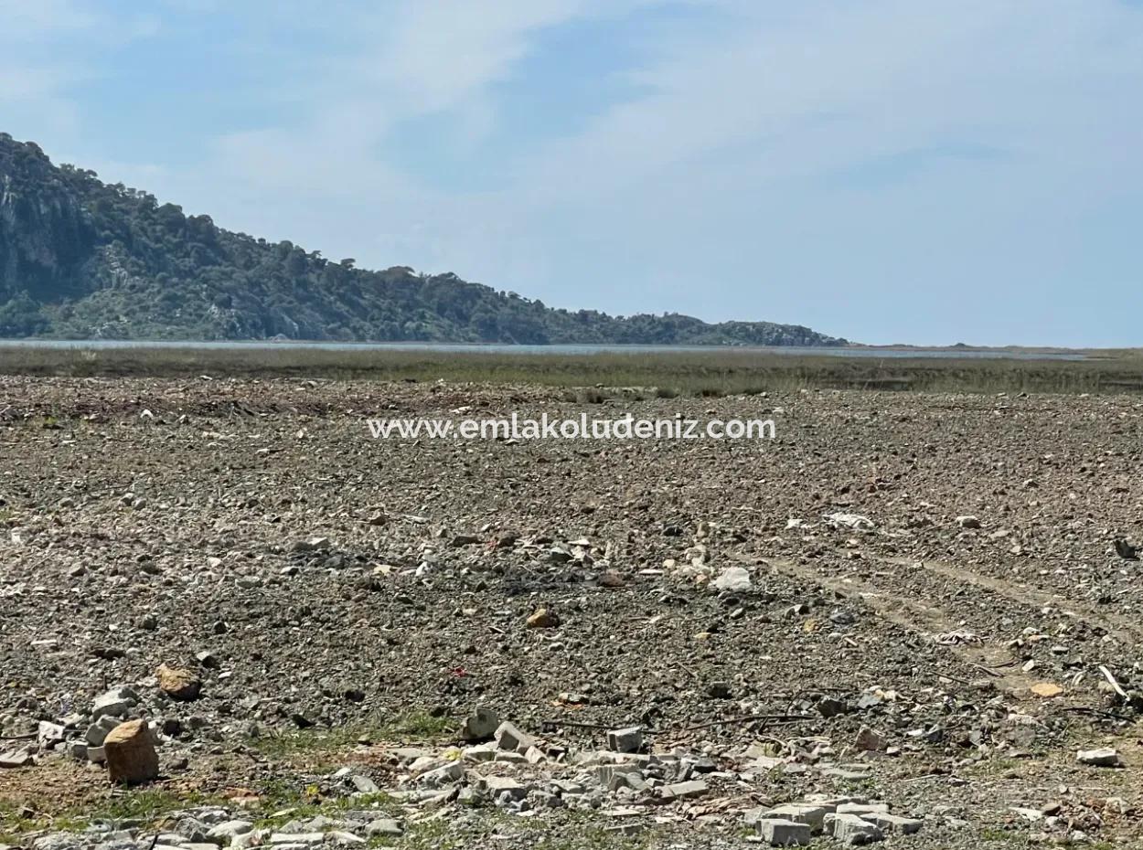 Dalyan Iztuzu Strand Straße Null 19.600M2 Feld Land Zum Verkauf