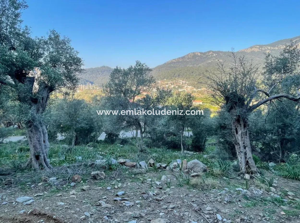 Çandır See Meerblick 2.806M2 2B Feld Zum Verkauf