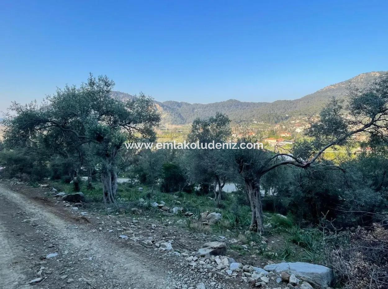 Çandır See Meerblick 2.806M2 2B Feld Zum Verkauf