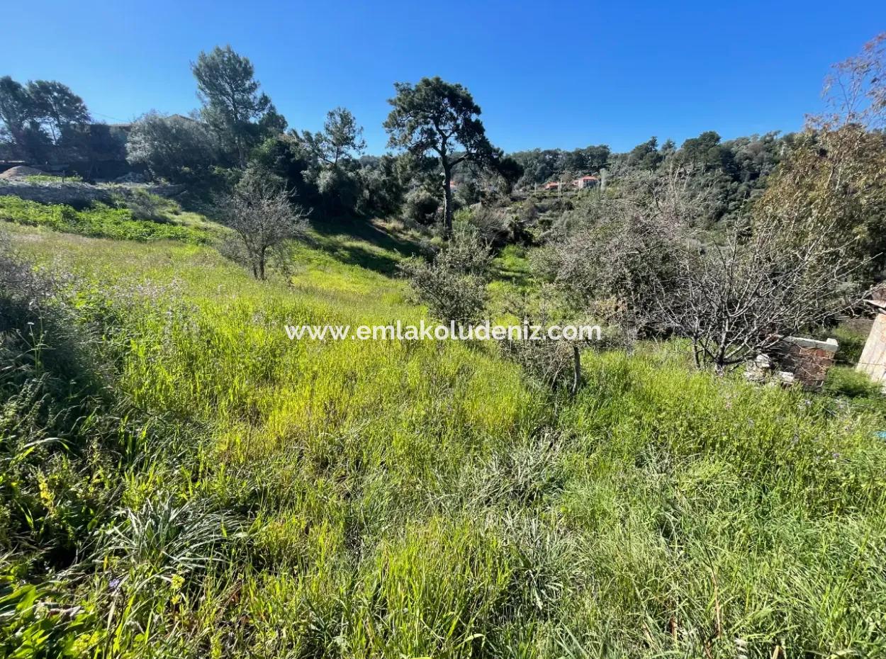 Dorfhaus Zum Verkauf Auf 4.400M2 Grundstück Mit Vollem Meerblick In Gökbel