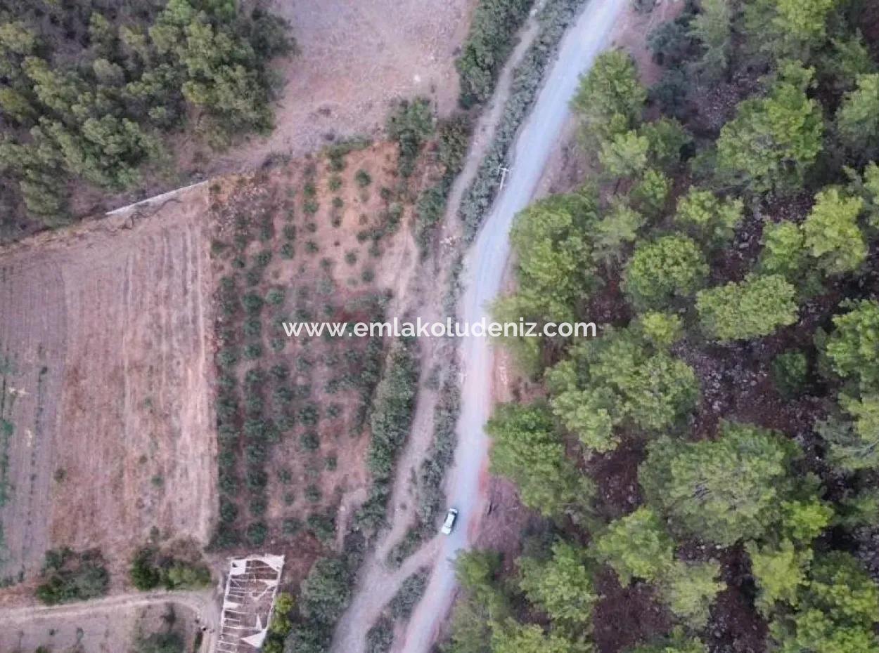 3578M2 Feld Zum Verkauf An Der Straße Von Aşı Koyu In Mergenlide