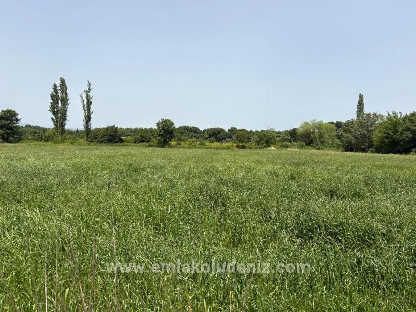 2100 M2 Plot Of Land For Sale In Okçular Marmaris.