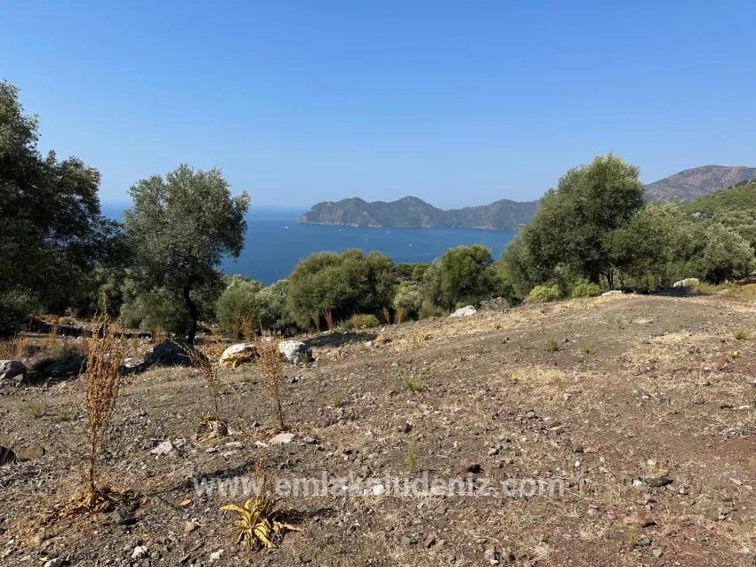 Field For sale in Çandır Nbh. Köyceğiz - Field Zoned - 21.000 m²