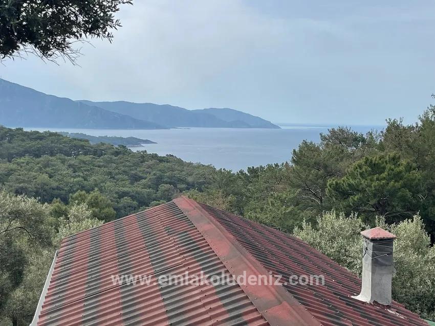 Field For sale in Ekincik Nbh. Köyceğiz - Olive Zoned - 7.000 m²