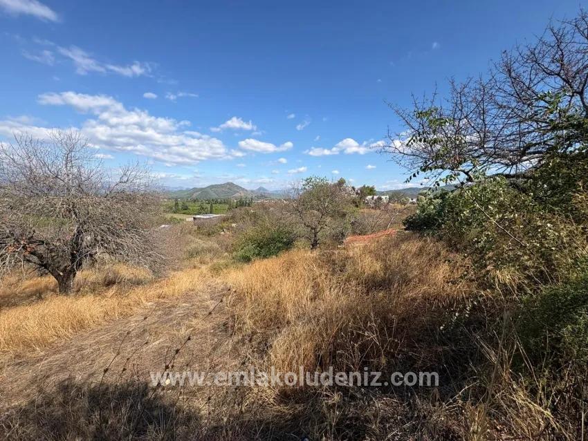 Field For sale in Dalyan Nbh. Ortaca - Field Zoned - 5.000 m²