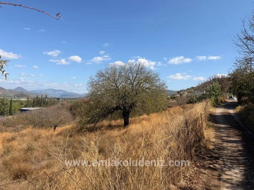 Field For sale in Dalyan Nbh. Ortaca - Field Zoned - 5.000 m²
