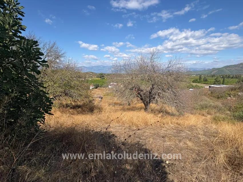Field For sale in Dalyan Nbh. Ortaca - Field Zoned - 5.000 m²