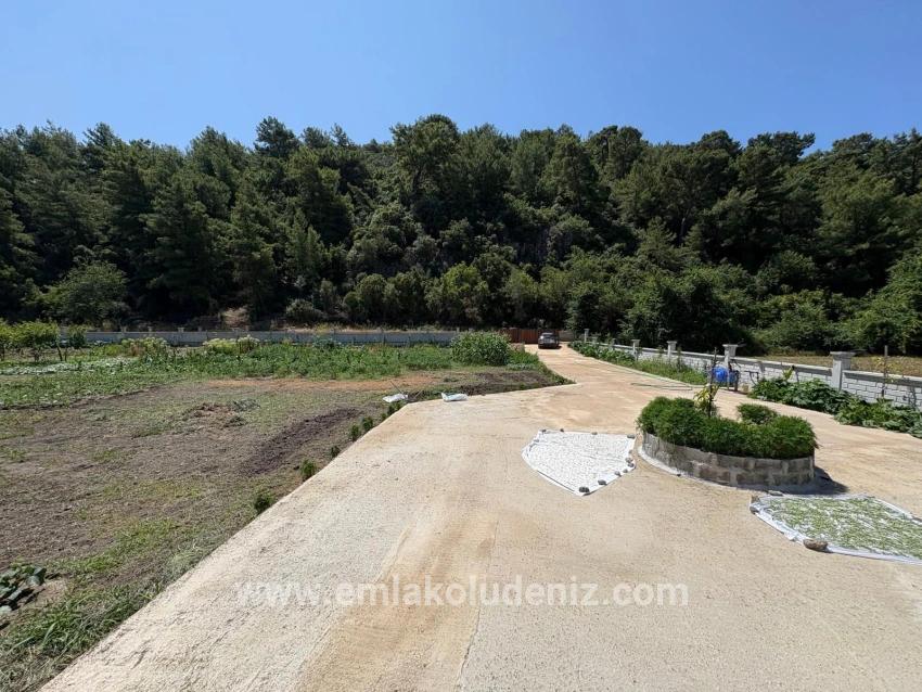 120m2 Detached Wooden House On A 2500m2 Field In Dalyan Karadağ Area