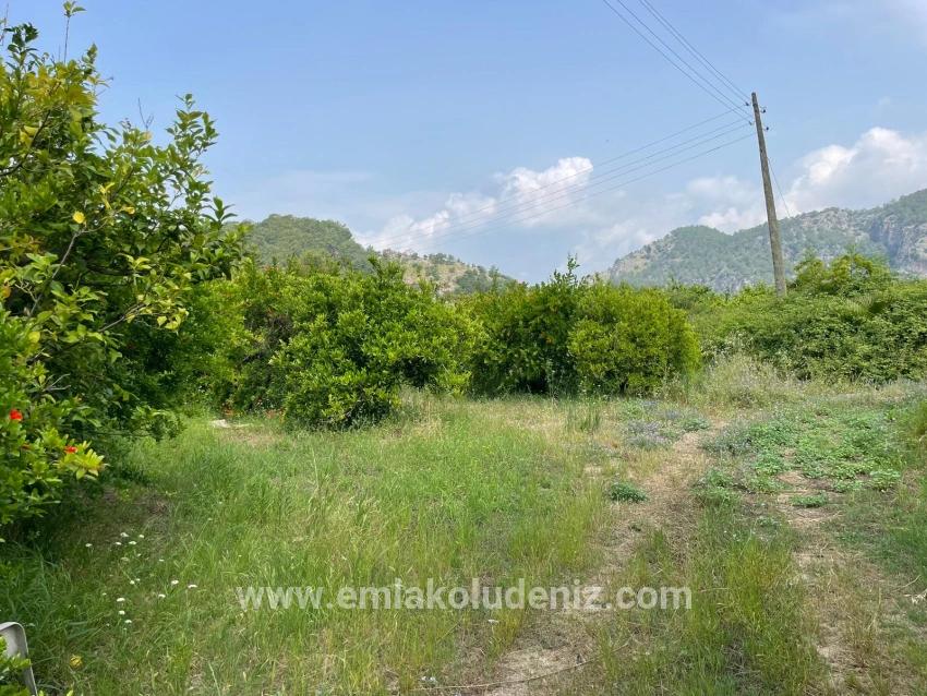 Field For sale in Gökbel Nbh. Ortaca - Housing Zoned - 7.800 m²