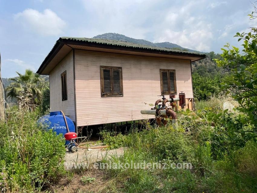 7800m2 Land For Sale In Gökbel, Next To Iztuzu Beach Road