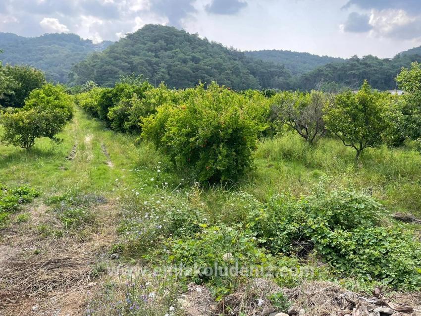 7800m2 Land For Sale In Gökbel, Next To Iztuzu Beach Road