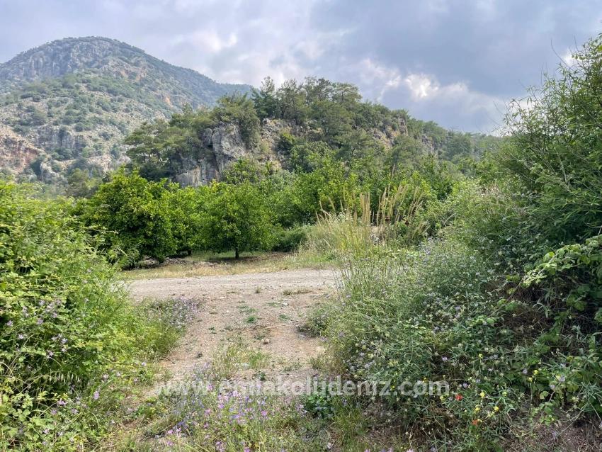 7800m2 Land For Sale In Gökbel, Next To Iztuzu Beach Road