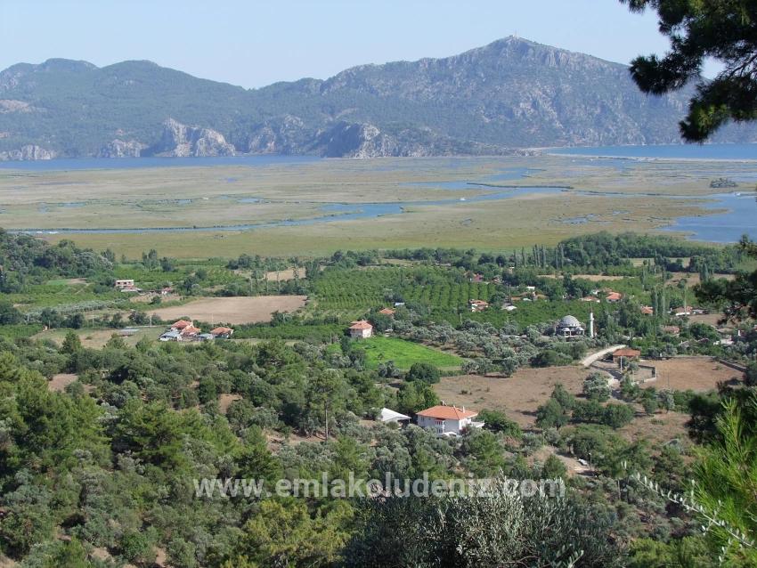 19,334 M² Plot Of Land For Sale In Çandır, Köyceğiz.
