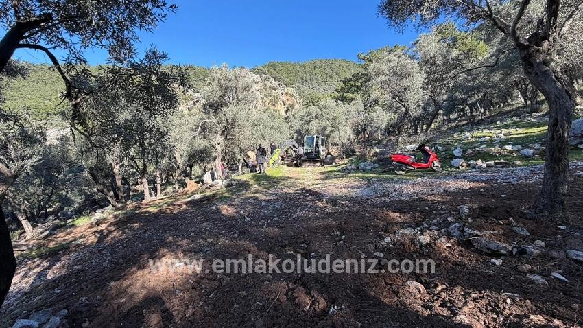 Field For sale in Çandır Nbh. Köyceğiz - Housing Zoned - 5.715 m²