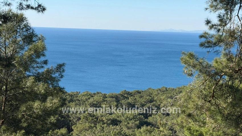 2b Field Of 5715m2 For Sale With Full Sea View In Çandır