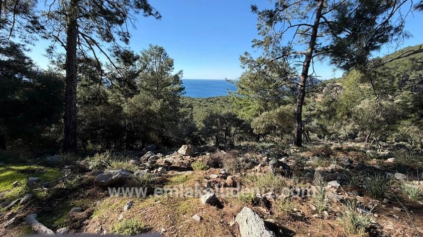 2b Field Of 5715m2 For Sale With Full Sea View In Çandır