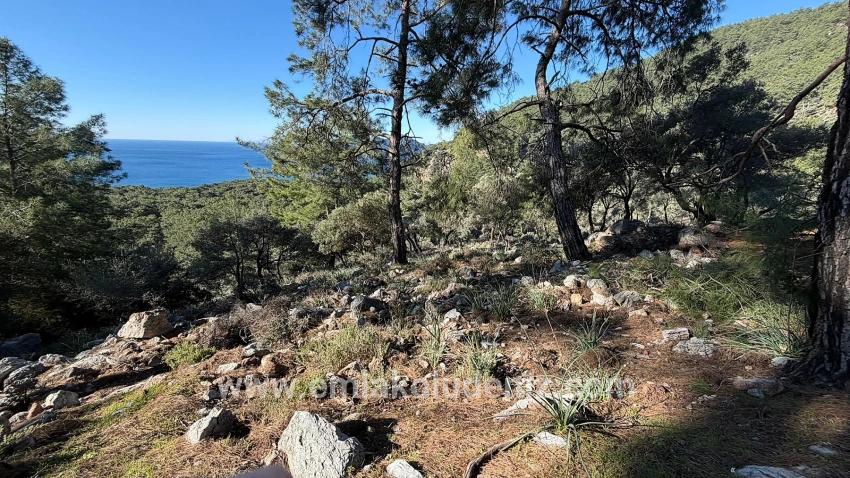 2b Field Of 5715m2 For Sale With Full Sea View In Çandır