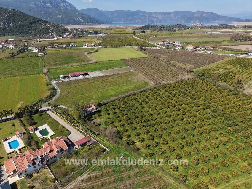 17.550m2 Vineyard-bahce For Sale Close To Dalyan Center