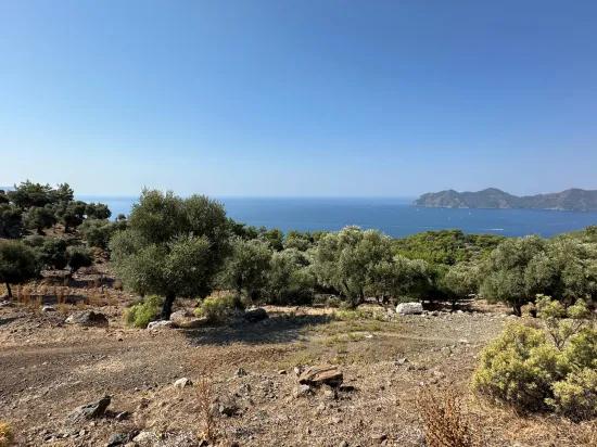 Field with sea view, 21.000 m2, 2b, for sale In Çandır