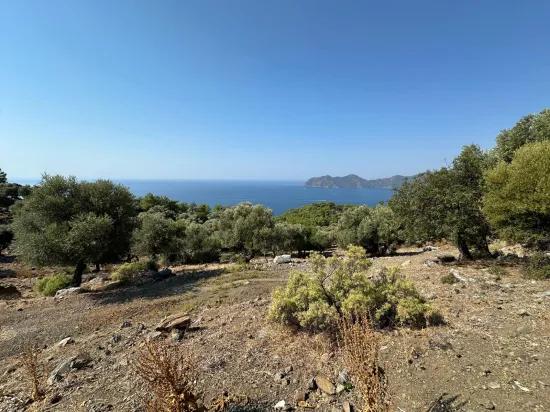 Field with sea view, 21.000 m2, 2b, for sale In Çandır