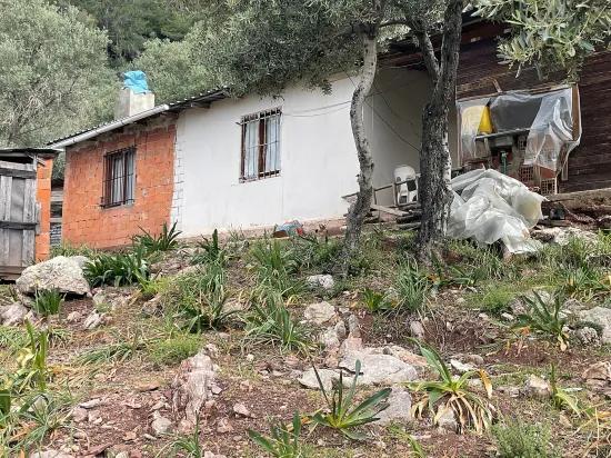Köyceğiz Ekincik sea view 7.000m2 2b for sale olive grove