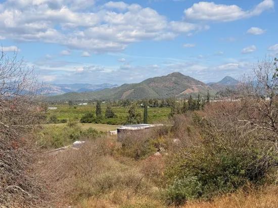 Field for sale, 5.000m2, with lake view In Dalyan, Karadağ