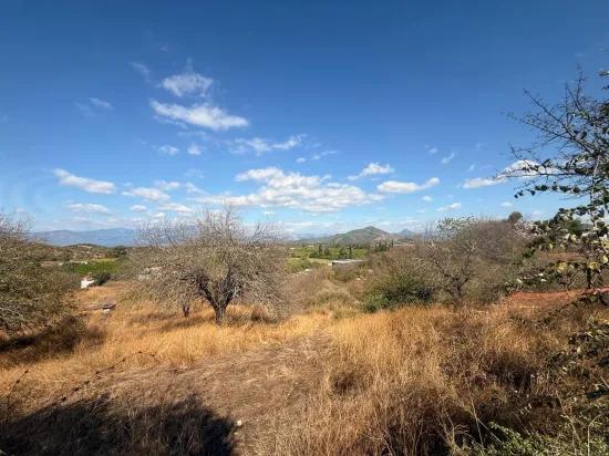 Field for sale, 5.000m2, with lake view In Dalyan, Karadağ