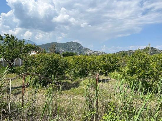 5,100 M² Plot Of Land For Sale In Dalyan, Maraş Area, Zoned For 5% Residential Use.