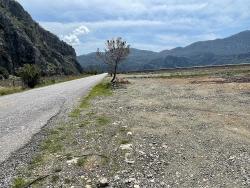 Field For sale in Dalyan Nbh. Ortaca - Housing Zoned - 19.600 m²