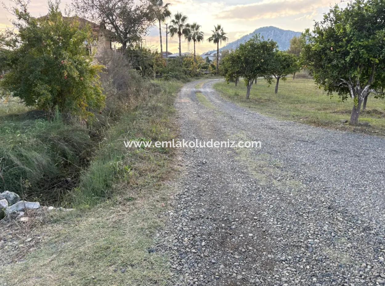 7,450M2 Land For Sale Close To The Center Of Dalyan