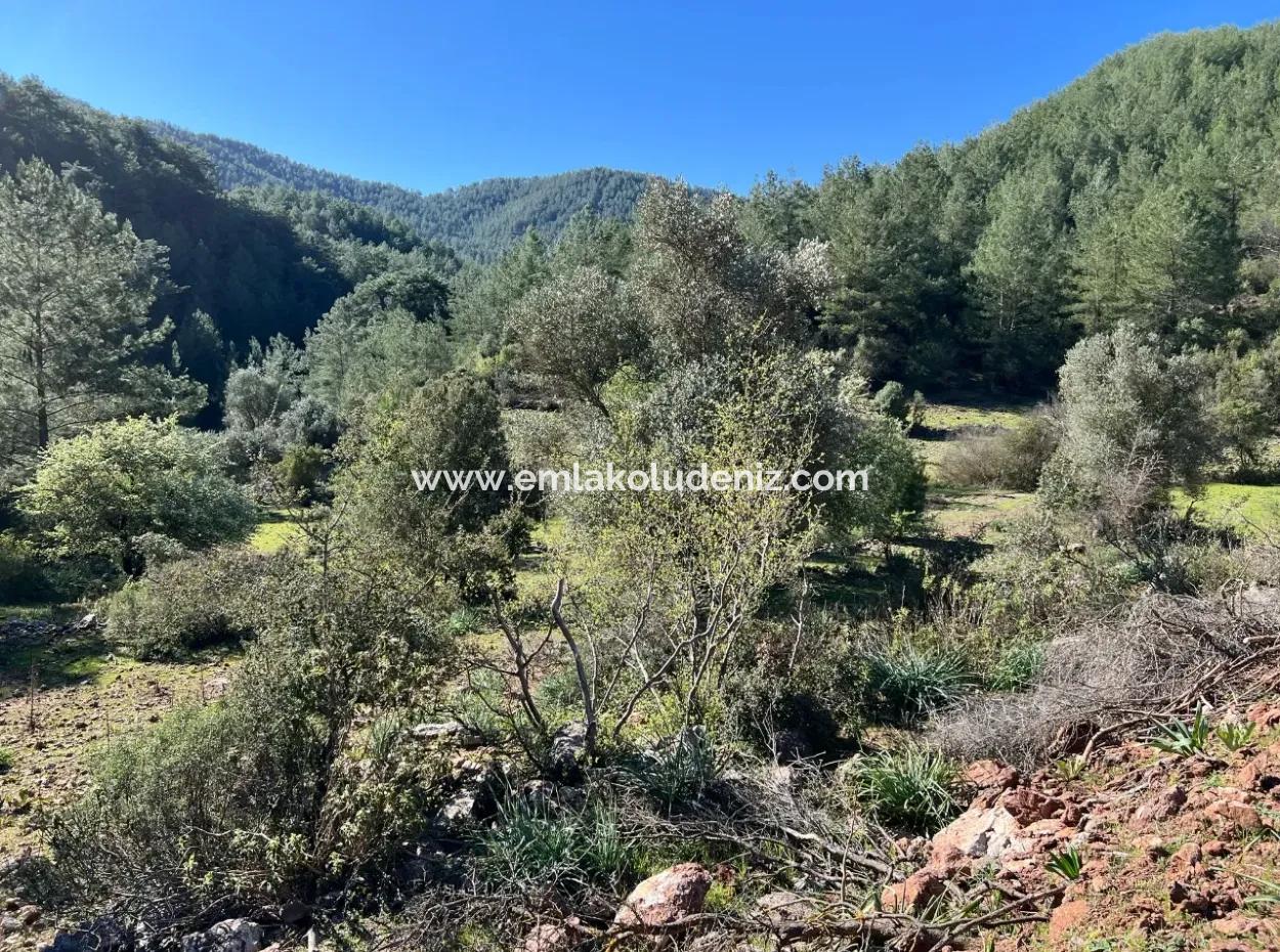 Land For Sale In Nature And Forest In Gökbel