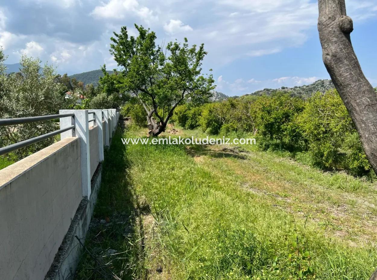 5,100M2 Land For Sale In Dalyan Maraş Area With 5% Residential Zoning