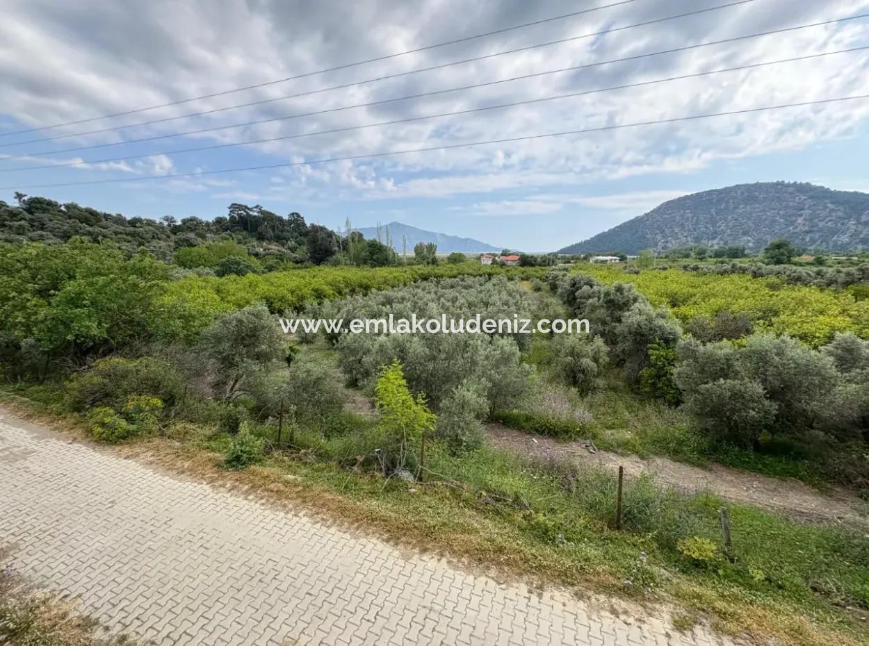 1,721M2 Land For Sale In Çandır Village With Sea And Lake Views
