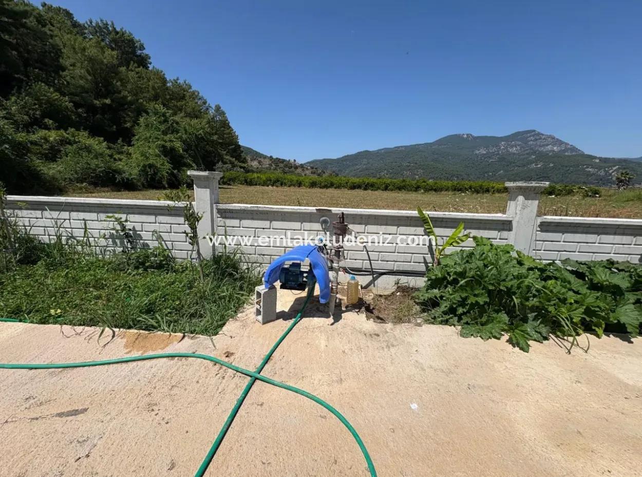 120M2 Detached Wooden House In A 2500M2 Field In Dalyan Karadağ