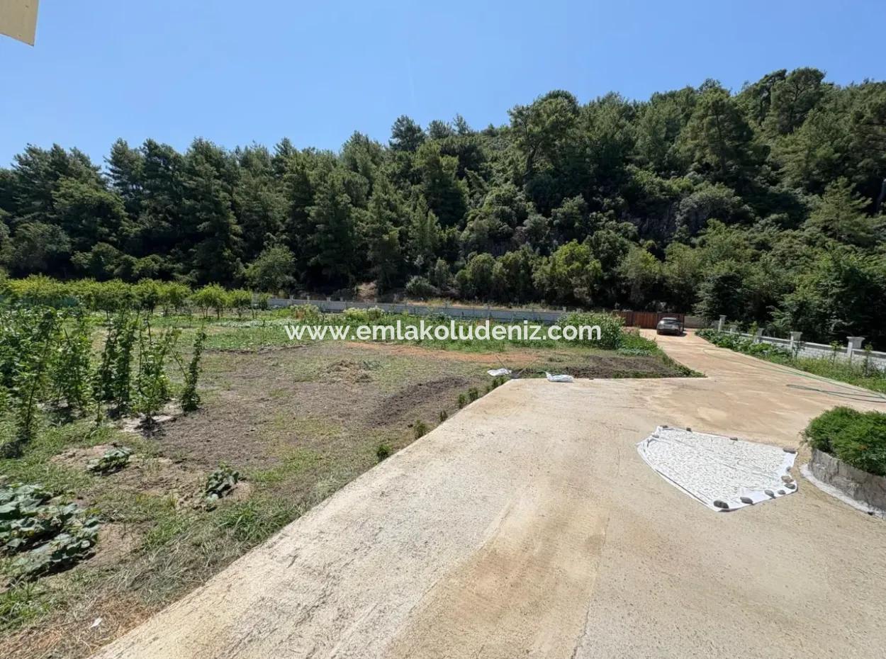 120M2 Detached Wooden House In A 2500M2 Field In Dalyan Karadağ