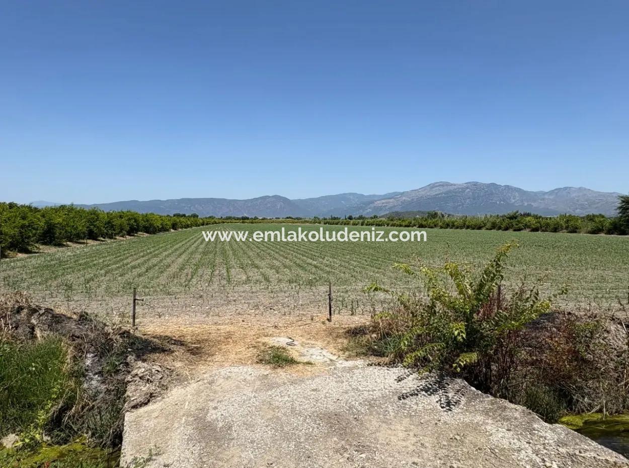 46,550M2 Land For Sale In Tepearası