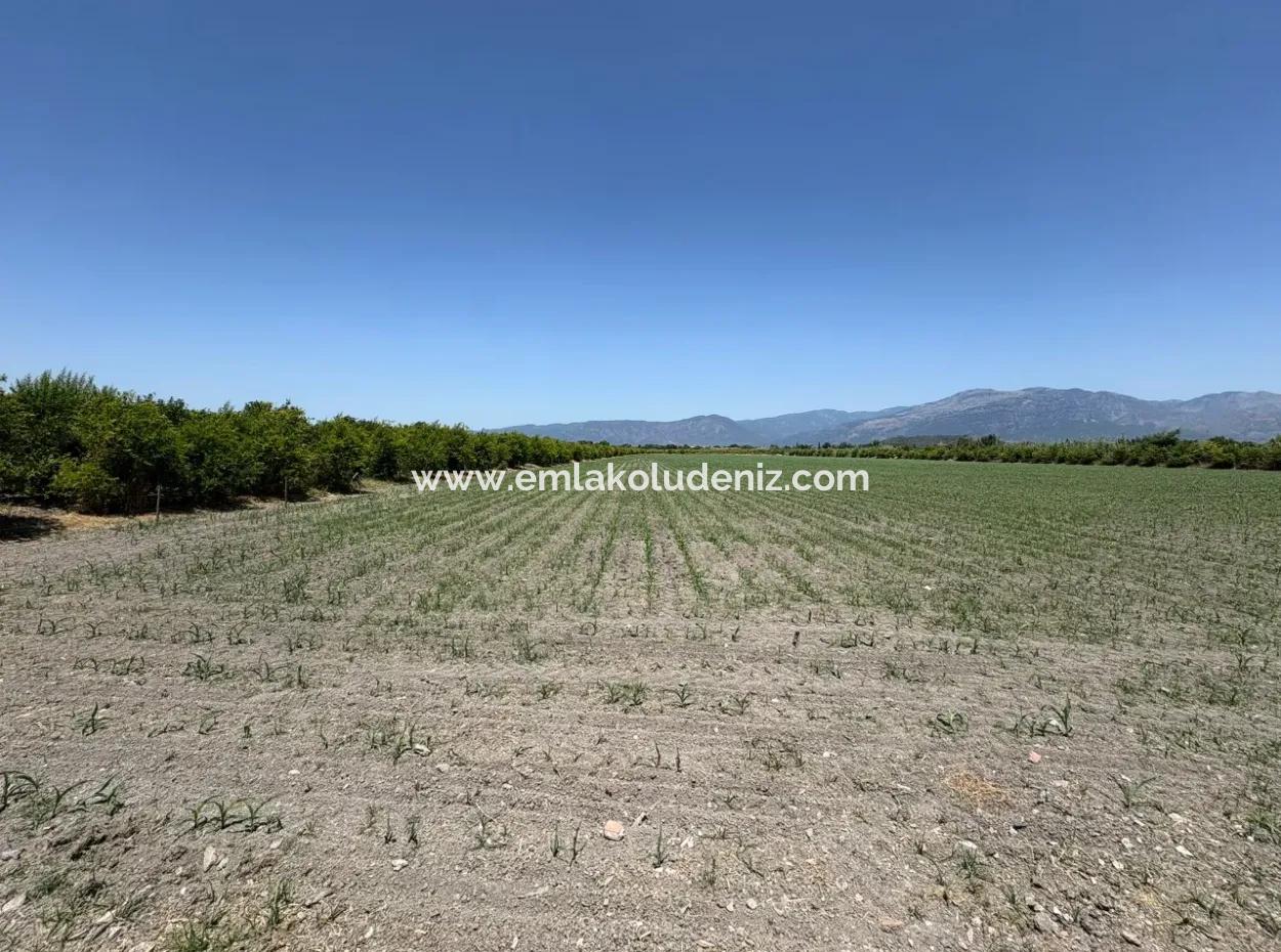 46,550M2 Land For Sale In Tepearası