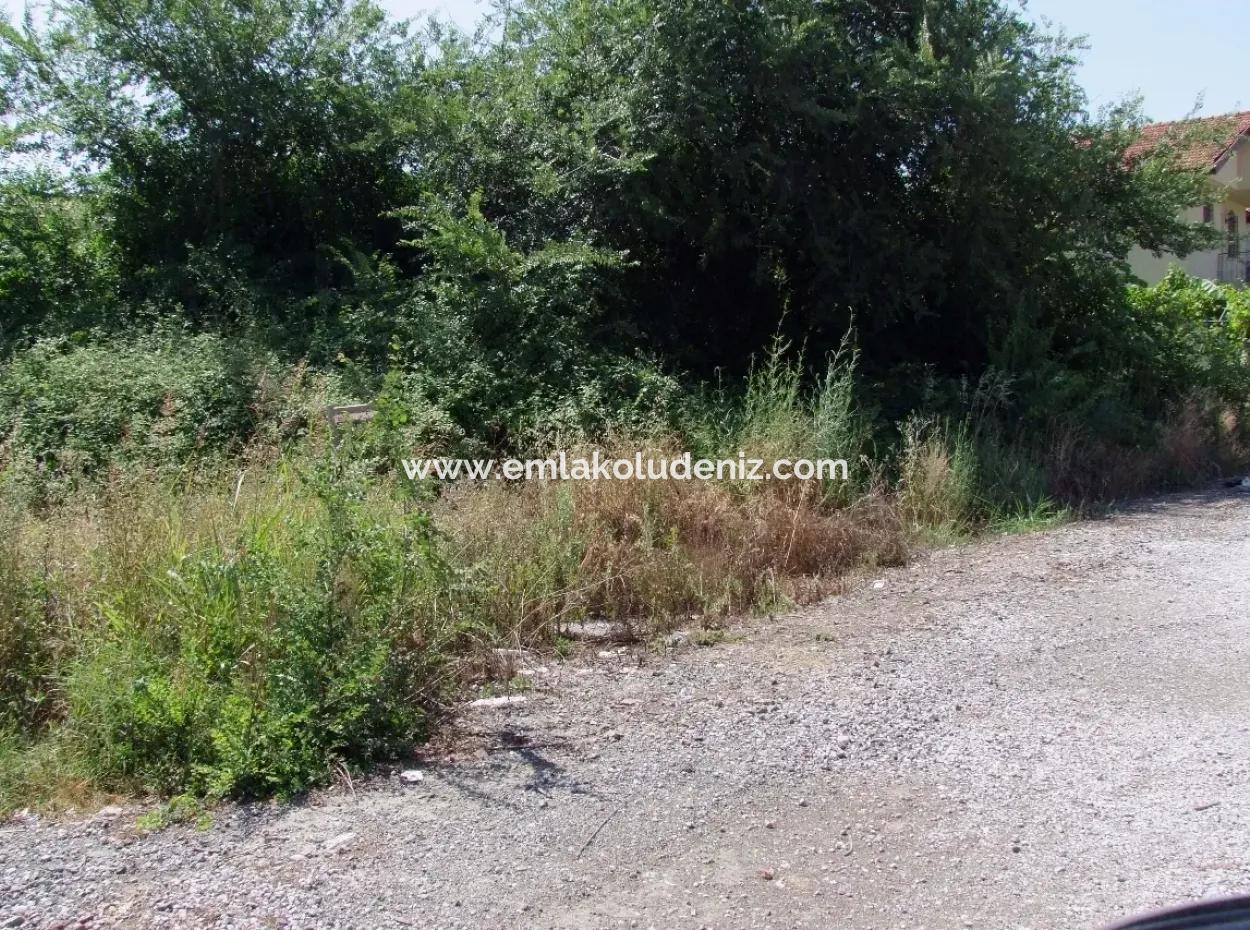 Gurpinar In Dalyan For Sale Dalyan Land For Sale, Plot For Sale In Köşebaşı 993M2 0 60