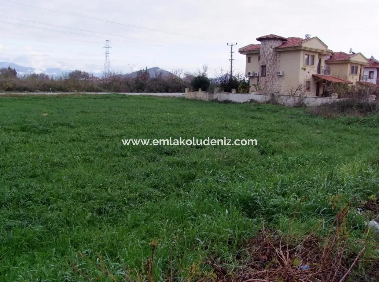 Gulpinar Dalyan Dalyan For Sale In 1002M2 Plot For Sale For Sale Cornerstone